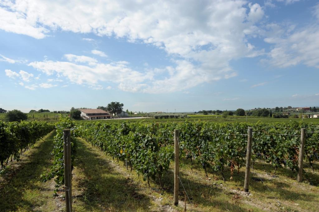 Tenuta La Ca Bardolino Eksteriør billede